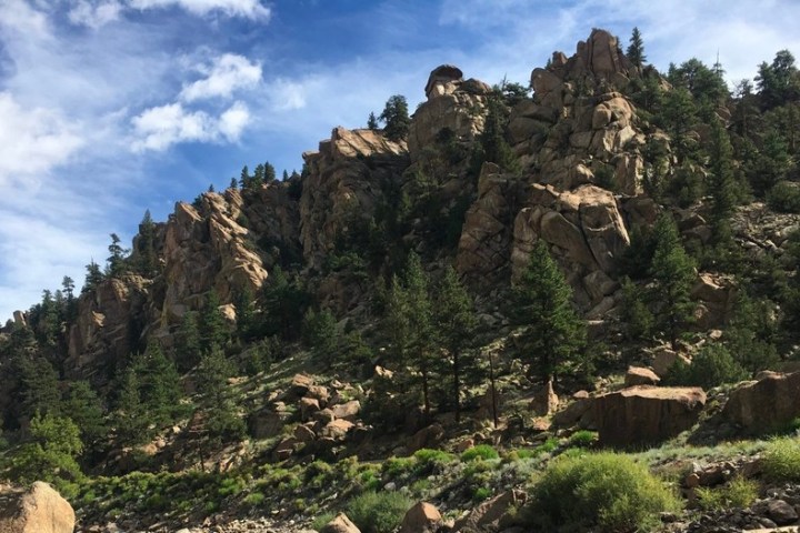 a tree on a rocky hill